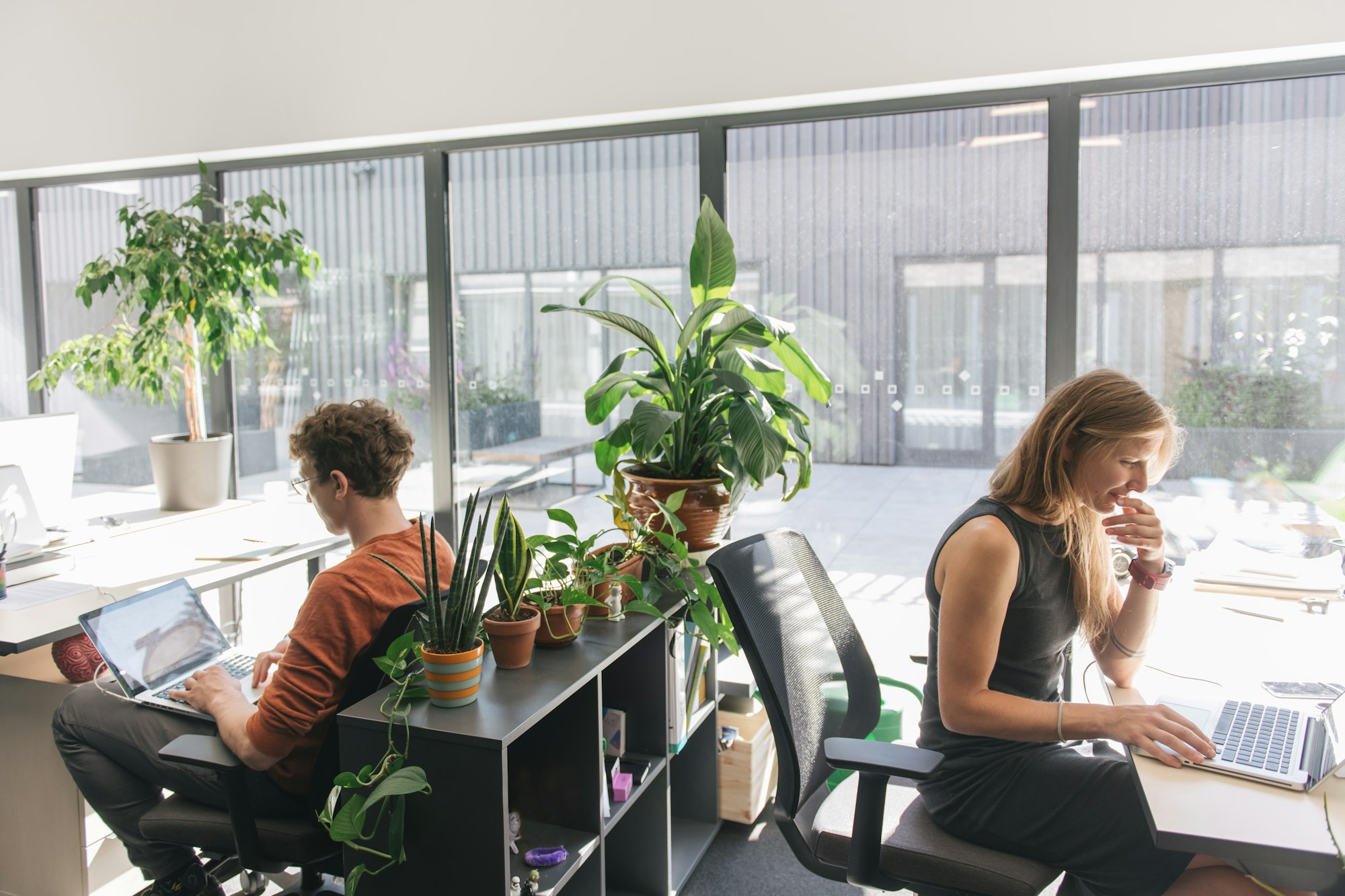 People working in sunny modern office